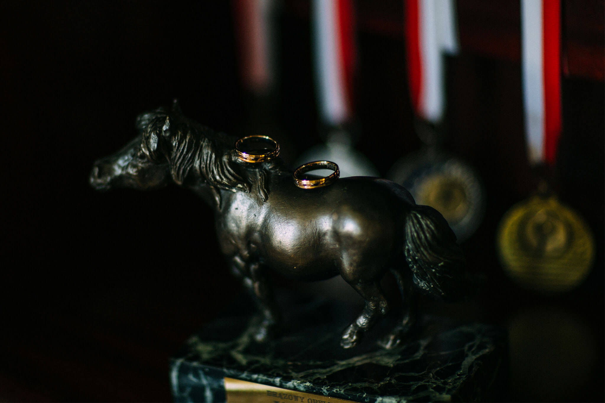 slub-cywilny-pruszkow-obraczki-slubne