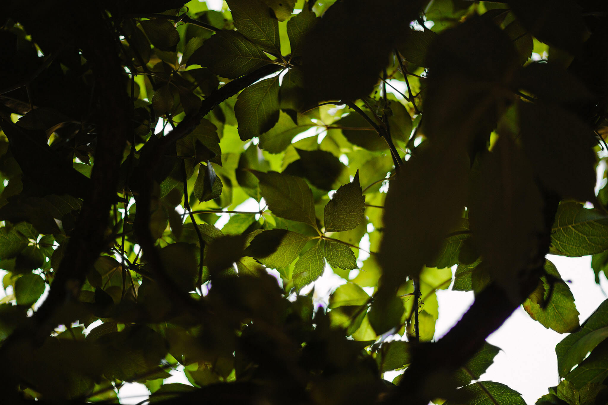 slub-cywilny-pruszkow