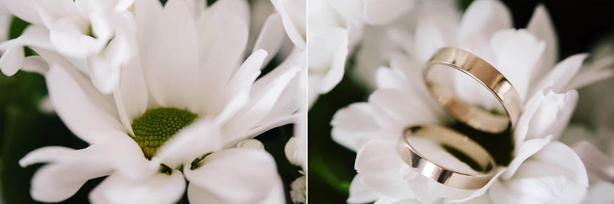 reportaz slubny warszawa wesele restauracja szklarnia