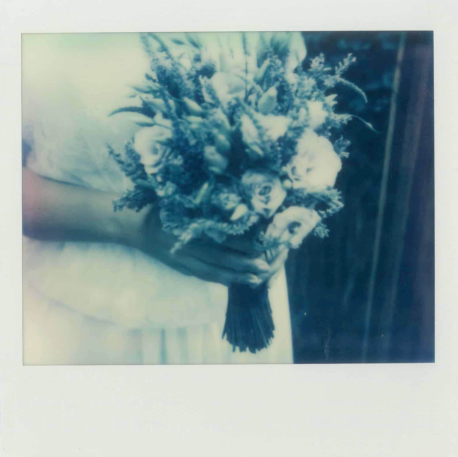 Stara Oranżeria polaroid.