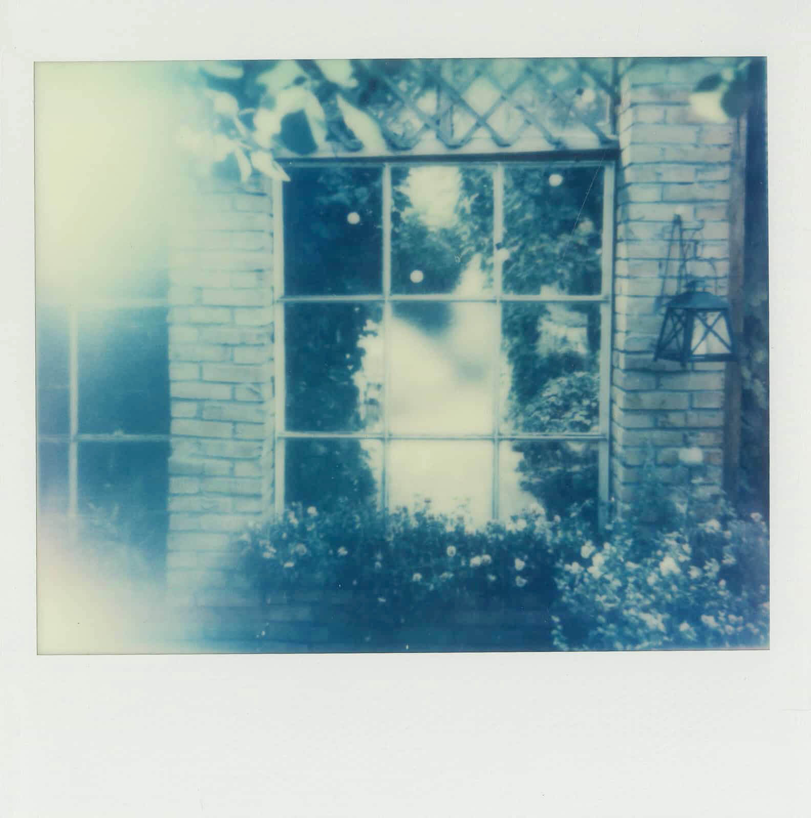 Stara Oranżeria polaroid.