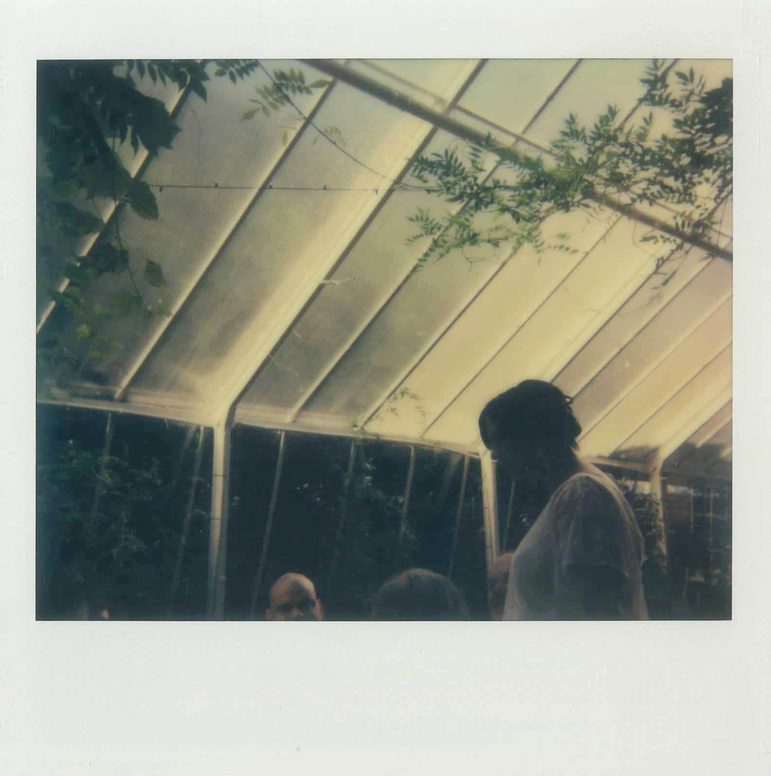 Stara Oranżeria polaroid.